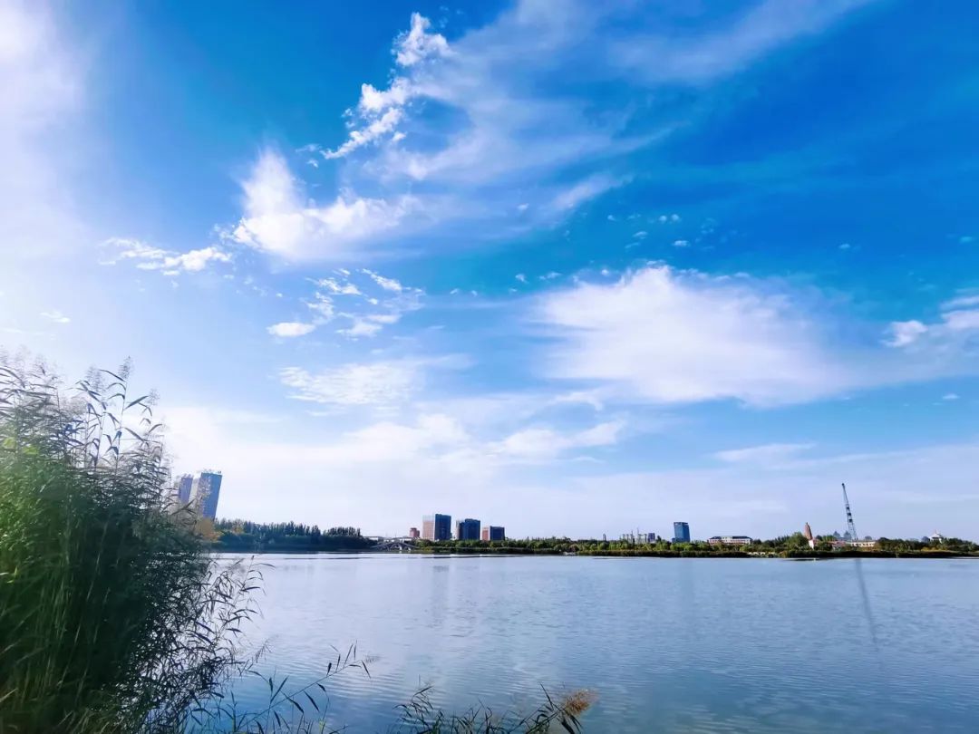 微信图片_20241209110845 微信图片_20241209110845