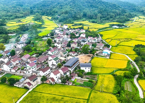 安徽省天然资源厅：130个乡镇耕地；こ删屯蛊 获赔偿激励1.3亿元