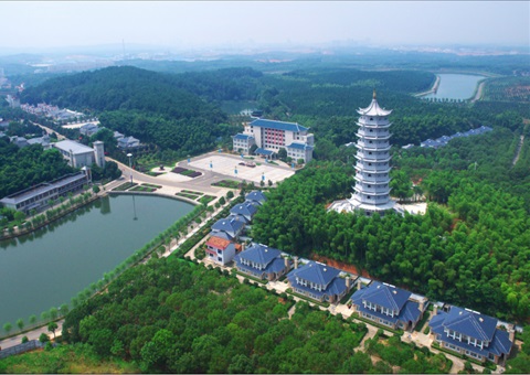湖北：用好“一张图” ，智治有支持