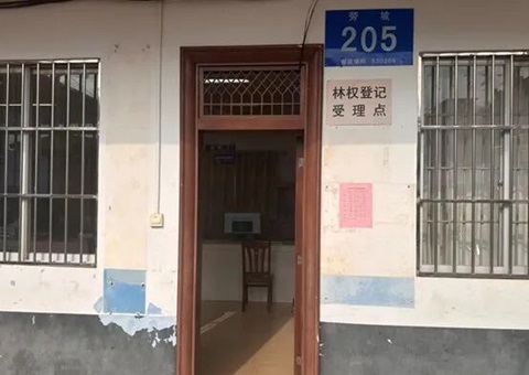 林权登记集钟装破题”——广西南宁探路高效便民新蹊径