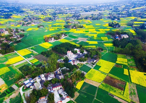 四川省多措并举推动天然资源身分保险政策落地见效