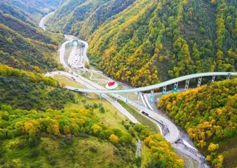 青海省首例林草生态建复项目管护法子出台