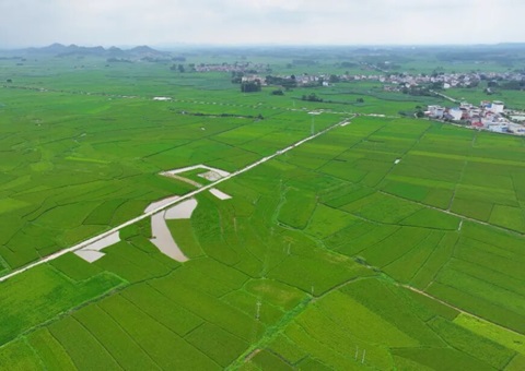 广西启动执行灌区工程与全域地皮综合整治&nbsp;&nbsp;买通农业灌溉“最后一公里”