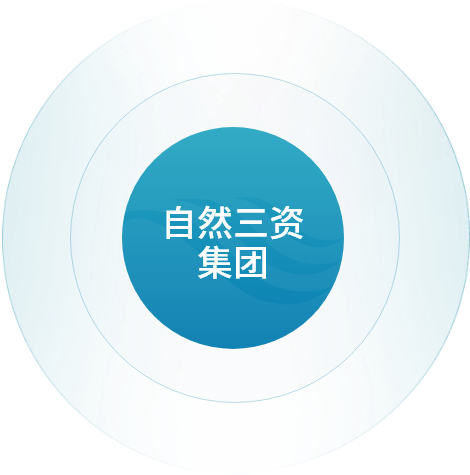 组织架构